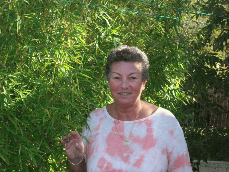 rencontre prades 66500