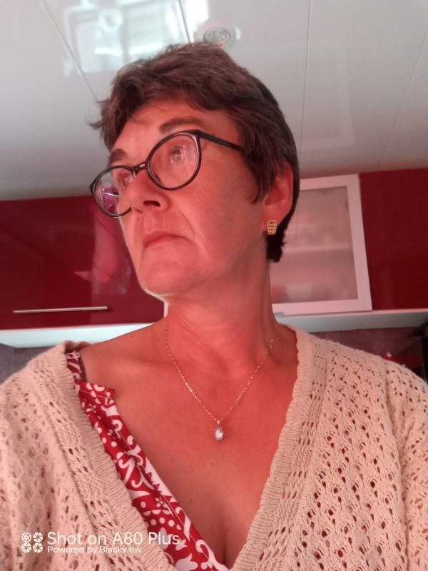Marie laure 57 ans Sauvillers Mongival