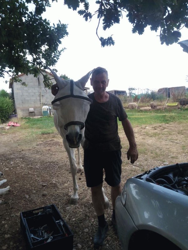 yves 77 ans Rieux Minervois