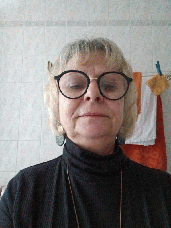 Sylvie  62 ans Vallet