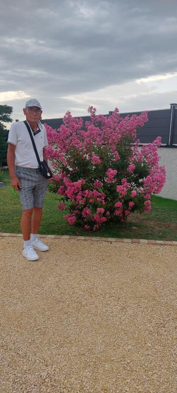 Daniel  62 ans Annonay