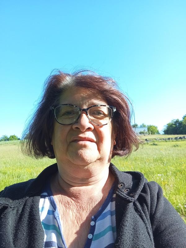Sylvie  63 ans Riaillé