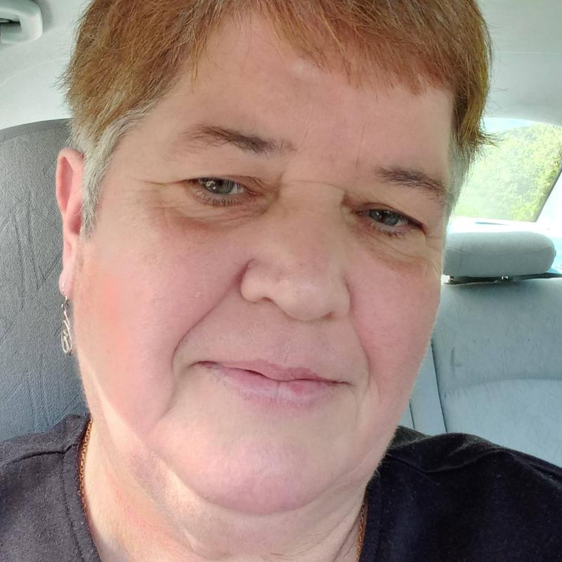 dominique 61 ans Mayenne
