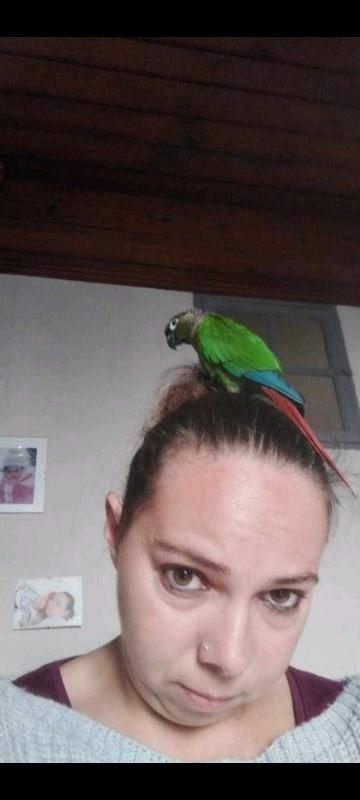 Sarah  35 ans Montpon Ménestérol