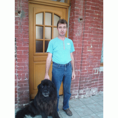 rencontre newfoundland