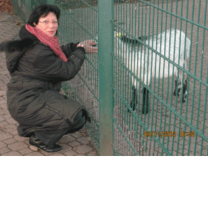 zimboulle 71 ans Carsan