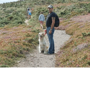 Bruno 59 ans Poitiers